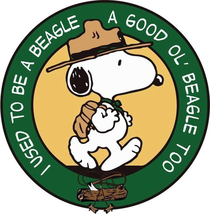 beagle-WB.jpg